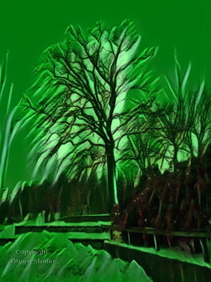 digitized winter photo from Sweden